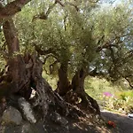 Il Paradiso Di Hyele Pensionat