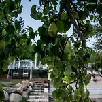 Il Paradiso Di Hyele 3* Ascea