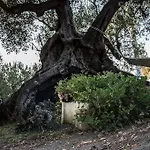 Il Paradiso Di Hyele 3*