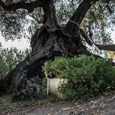 Il Paradiso Di Hyele 3*