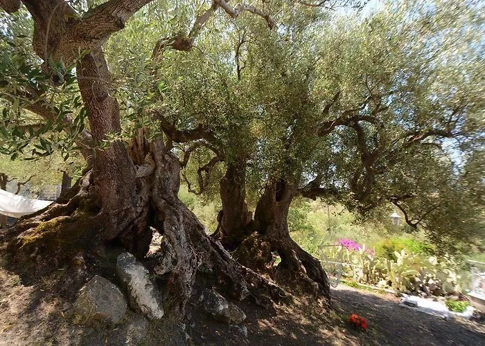 Il Paradiso Di Hyele Casa de hóspedes