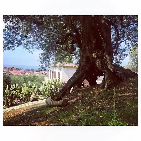 Guest house Il Paradiso Di Hyele