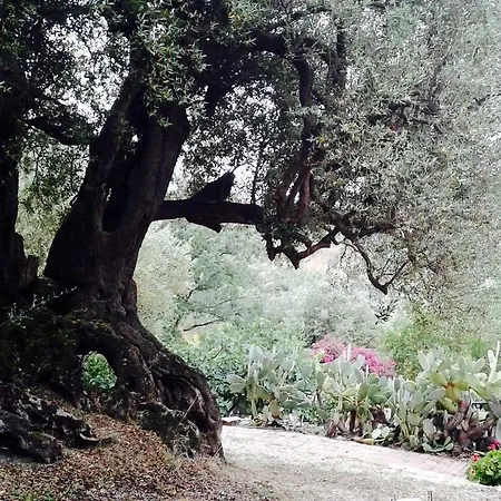 Il Paradiso Di Hyele Ascea