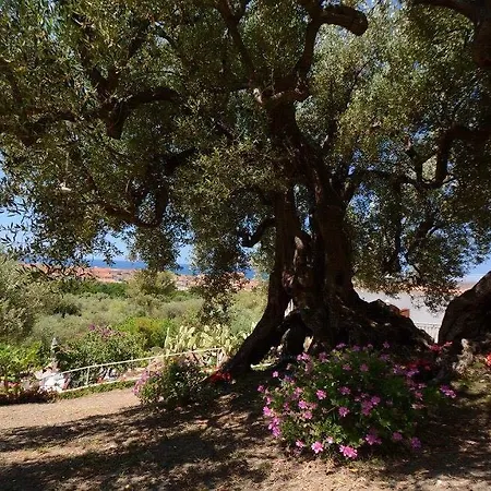 Il Paradiso Di Hyele