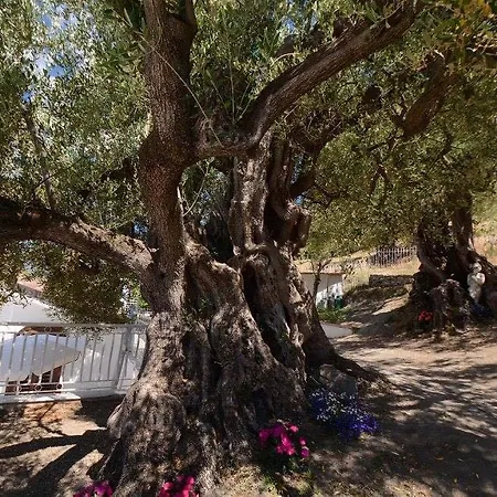 Pensjonat Il Paradiso Di Hyele